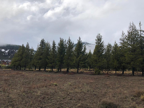 Imagen 1 de 9 de Terreno - Meliquina