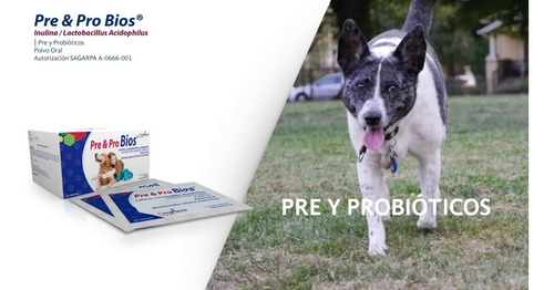 Imagen 1 de 3 de Pre & Pro Bios Pre Y Probióticos Polvo Oral 10 Sobres 3 Gr