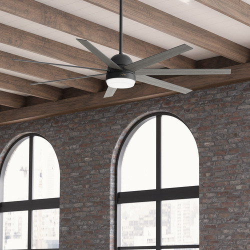 Hunter Fan Company Phenomenon - Ventilador De Techo, 70, N