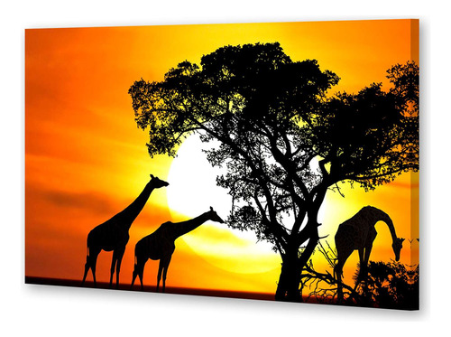 Cuadro 60x90cm Jirafas Grupo Atardecer Naturaleza