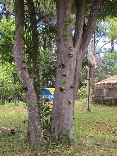 Chácaras À Venda Em Atibaia/sp - Compre O Seu Chácaras Aqui! - 1442793