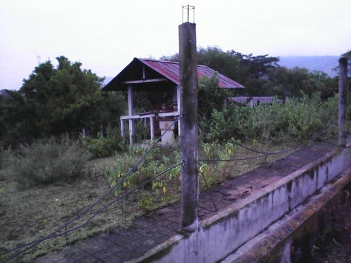 Imagen 8 de 11 de Venta De Rancho En Ciudad Valles, San Luis Posoti
