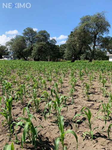 Imagen 6 de 11 de Terreno En Venta En San Diego, Ayapango, Estado De México