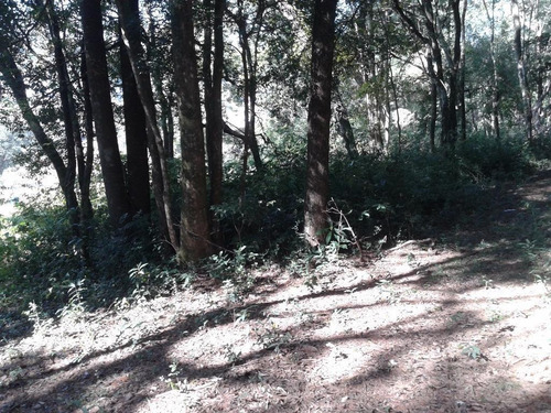Imagem 3 de 5 de Terreno Industrial À Venda, Chavini E Castro, Itatiba - Ar0196. - Te2807