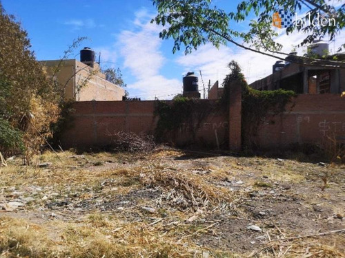 Imagen 6 de 8 de Terreno En Renta Valle Verde Oriente
