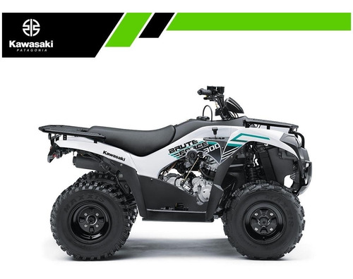 Imagen 4 de 25 de Kawasaki Brute Force 300 | Mall Don Bosco Motors