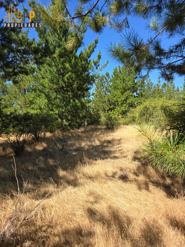 Vendo Parcela De 5.000m² Ubicada En Cauquenes