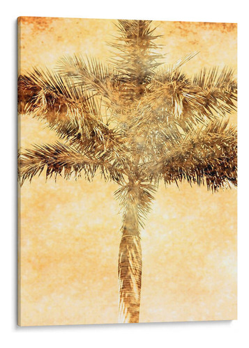 Canvas Lab Cuadro Palmas En Brown Iv 45x60, Skip Nall