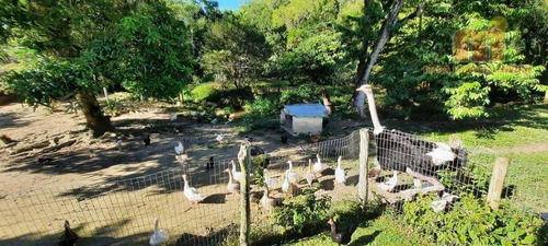 Imagem 27 de 29 de Chácara Com 5 Dormitórios À Venda, 20000 M² Por R$ 700.000,00 - Estrada Teagem - Pedro De Toledo/sp - Ch0168