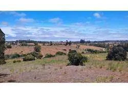 Venta Parcela, Algarrobo-mirasol (172246)