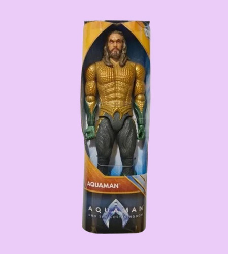 Aquaman Dc Spin Master