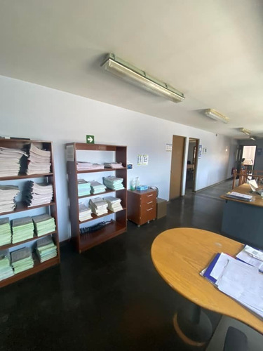Gran Terreno Con Bodegaje Industrial, Sector Jaime Repullo.