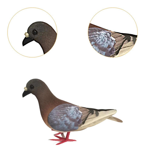 Simulación Fuam Pigeon Modelo De Imitación Rojo Terroso