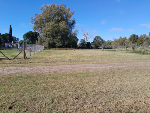 Terreno 655m2- Oportunidad Unica, Carmen De Areco
