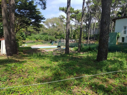 Imagen 3 de 4 de Lote Exclusivo, Apto Para 2 Unidades A 120 Mts De La Playa.