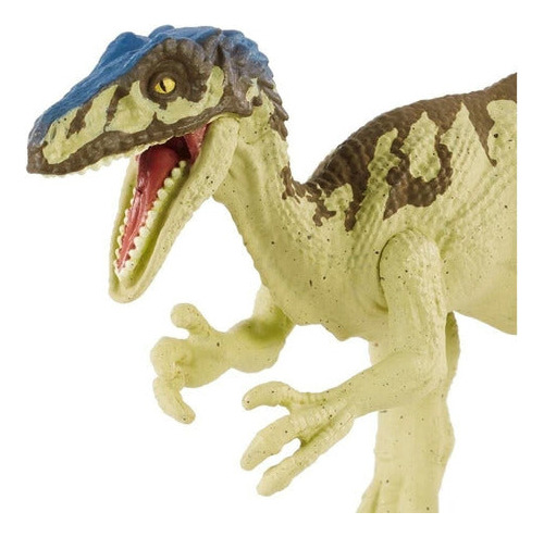 Dinosaurios De Ataque | Jurassic World | Colorerus