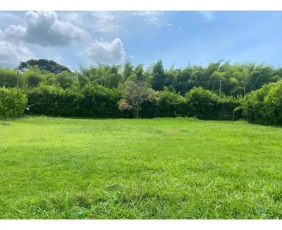 Lote y casalote en venta