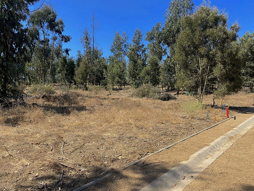 El Medano