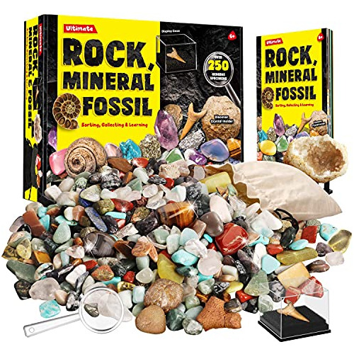 Colección De Rocas, Minerales Y Fósiles Niños - Más...