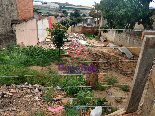 Imagem 4 de 6 de Terreno, Jardim Independência, Itupeva - Te09620 - 70712846