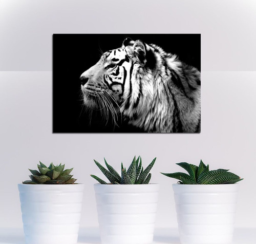 Cuadro 40x60cm Tigre Blanco & Negro Perfil Naturaleza