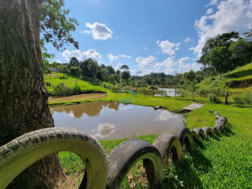 Imagem 13 de 30 de Linda Chacará Com Mais De 36.000 M², Situada Na Cidade De Quitandinha, Paraná. - Ch00019 - 70570203