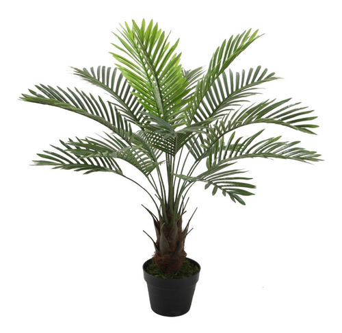 Planta Decorativa Palma Phoenix 90 Cms.