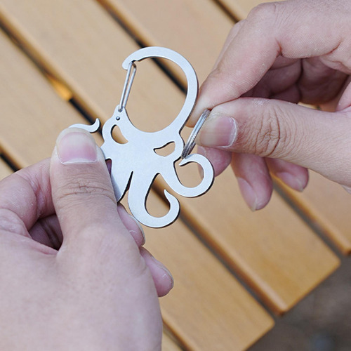 Carabiner Clace Clip Clip Set Organizor De Conjunto Retilla