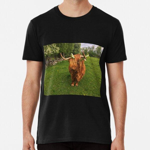 Remera Scottish Highland Cattle Cow With Flowers 2401 Algodo