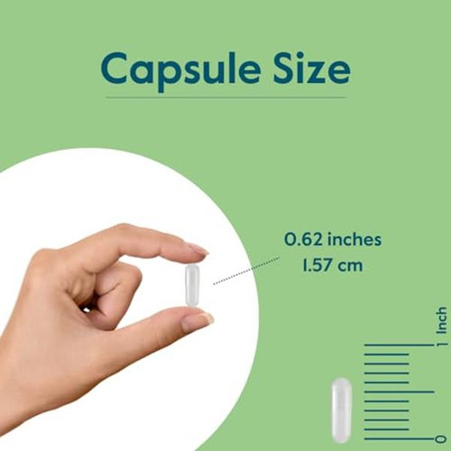 Bestvite Vitamina B12 Metilcobalamina 1000mcg 240 Cápsulas