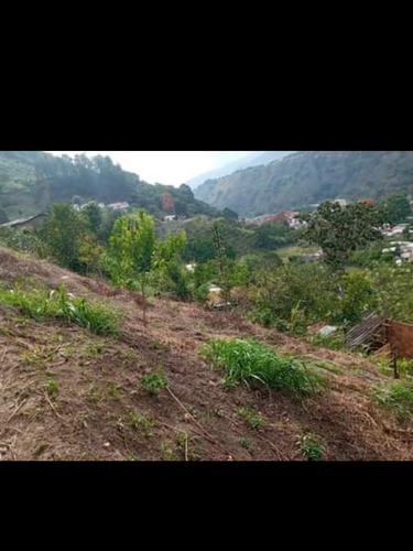 Imagen 4 de 4 de Vendo Terreno En Santa Catalina Del Chama Mérida 450mts