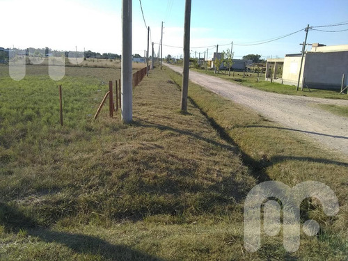 Imagen 3 de 11 de Venta Terreno -arana