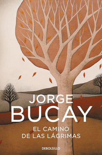 El Camino De Las Lagrimas (ed Española) - Bucay Jorge (libro
