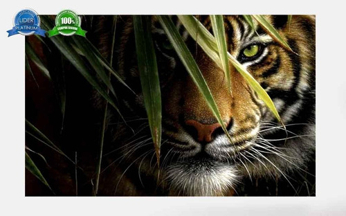 Imagen 1 de 10 de Cuadro Tigre Animales 50x70 Otros Diseños Tela Canvas