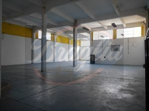Venta Local Comercial 5 Ambientes La Blanqueada Braglia 886t