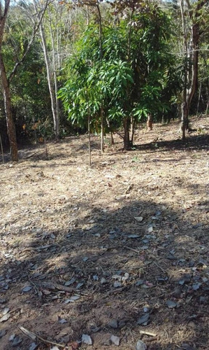 Imagem 2 de 5 de Loteamentos Para Comprar No Centro Em Jaboticatubas/mg - 1292