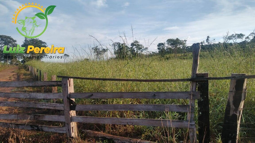 Imagem 15 de 15 de Fazenda À Venda Em Santa Tereza Do Tocantins-to-de 166 Alqueirões(pecuária) - 1692