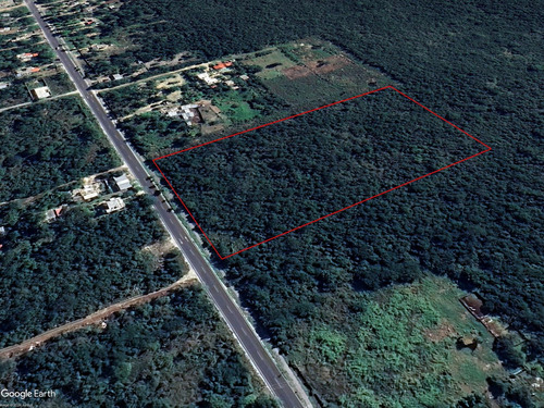 21,600 M2 Manzana Completa Con Calle Pavimentada Y Cfe Ideal Para Cualquier Proyecto