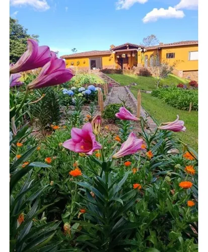 Finca Para La Venta En El Occidente Via San Cristobal