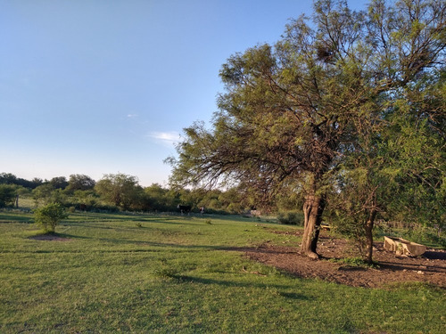 Imagen 11 de 19 de Excelente Campo En Chuchiras, San Javier