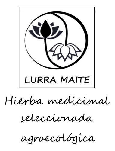Artemisa Annua En Flor Orgánica Medicinal Deshidratada 3 Paq