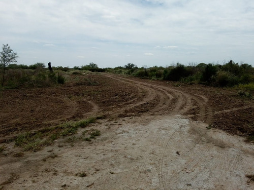 Vendo Campo Con Escritura