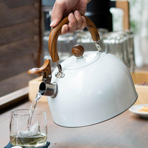 3l Stainless Steel Tea Pot For Stovetop Top Folding Handle