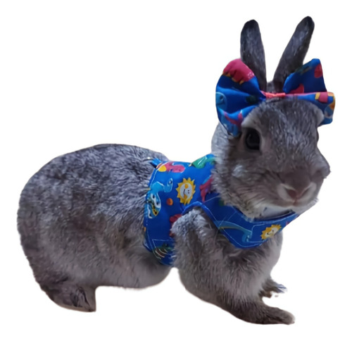 Roupa Pet Peitoral Para Mini Coelho, Coelho Anão Com Guia