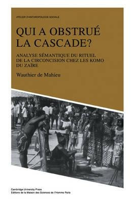 Atelier D'anthropologie Sociale: Qui A Obstrue La Cascade...