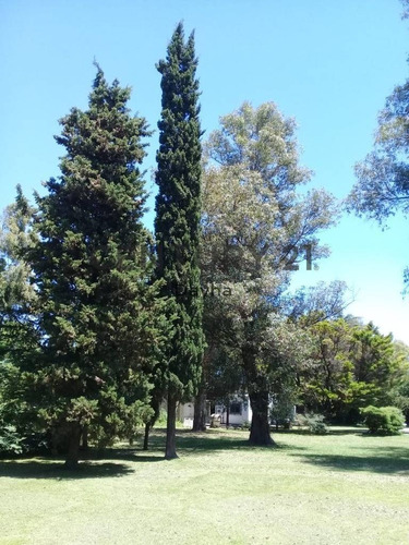 Imagen 2 de 4 de Venta De Lote En Tristan Suarez