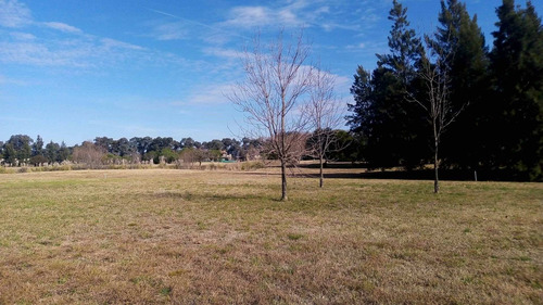 Imagen 4 de 18 de Lote En Venta En Pilar (country Con Golf)