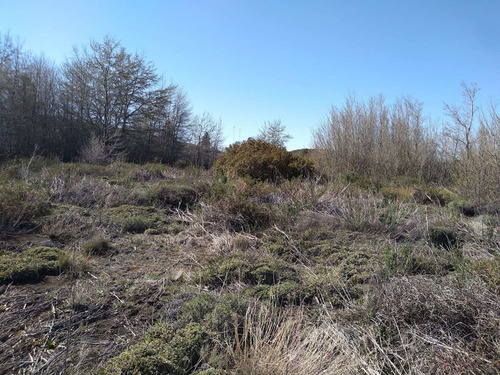 Imagen 4 de 8 de Hermoso Lote Frente Al Lago Huechulafquen