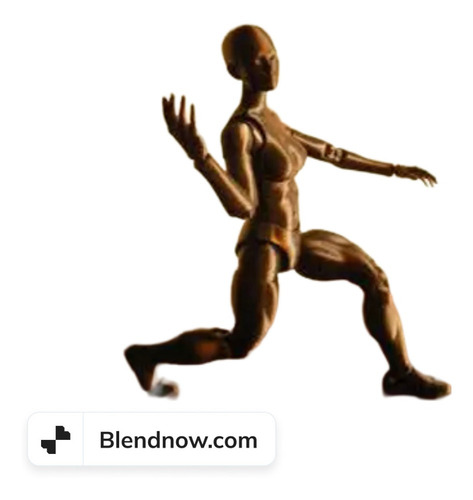 Imagen 8 de 9 de Muñeco Maniqui Femenino Articulado Body Chan 24 Cm Dibujo 3d