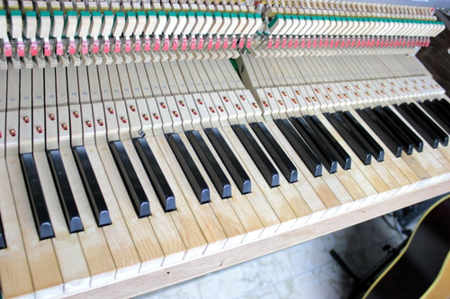 Imagen 4 de 10 de Bogotá Piano Workshop: Afinación Reparación Pianos Acústicos